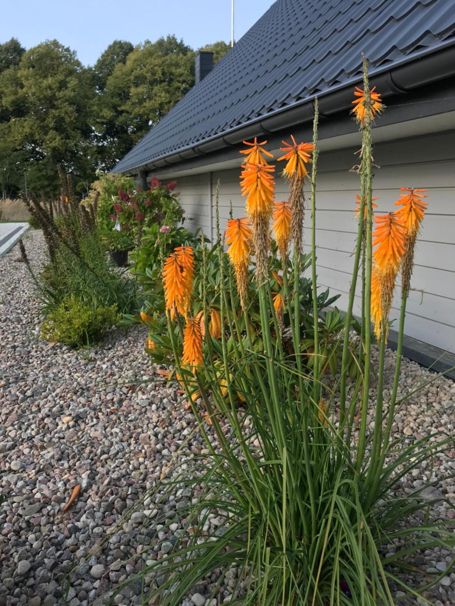 U Wikinga - Letniskowe W Mielnie Ferienhaus Mielno